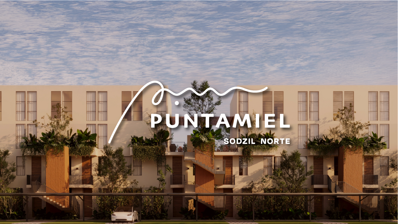 Proyecto Punta Miel
